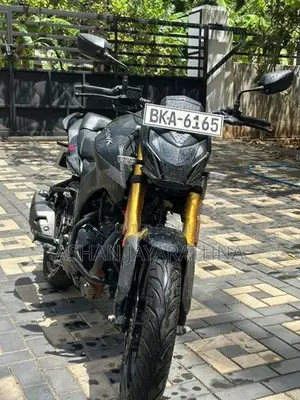 Hero Hunk 160R 2025