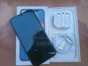 Apple iPhone X (Used)