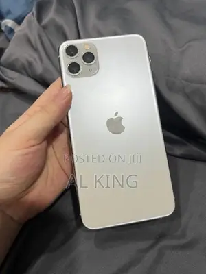 Apple iPhone 11 Pro Max 256GB | Full Set (Used)