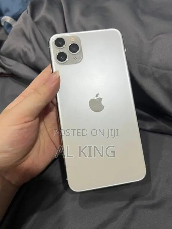 Apple iPhone 11 Pro Max 256GB | Full Set (Used)