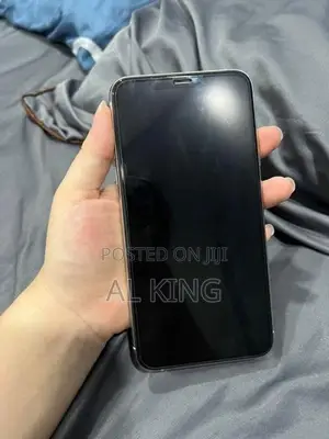 Apple iPhone 11 Pro Max 256GB | Full Set (Used)