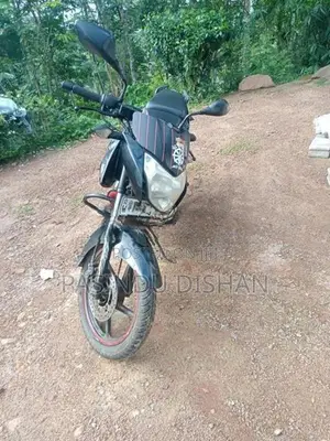 Bajaj Pulsar 135 2013