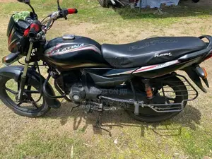 Bajaj Platina 100 2016