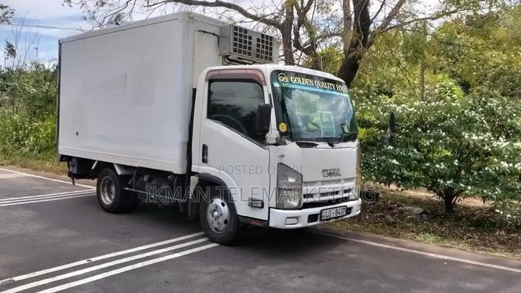 Isuzu Elf Freezer Truck 2011