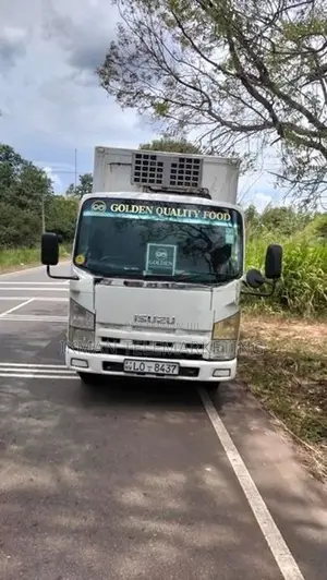 Isuzu Elf Freezer Truck 2011