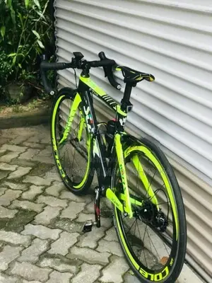Stark Racing Bicycle