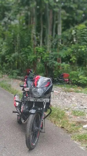 Bajaj Pulsar 150 Midnight Black 2009
