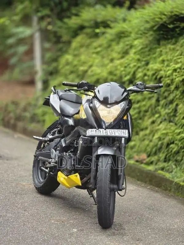 Bajaj Pulsar NS200 2019