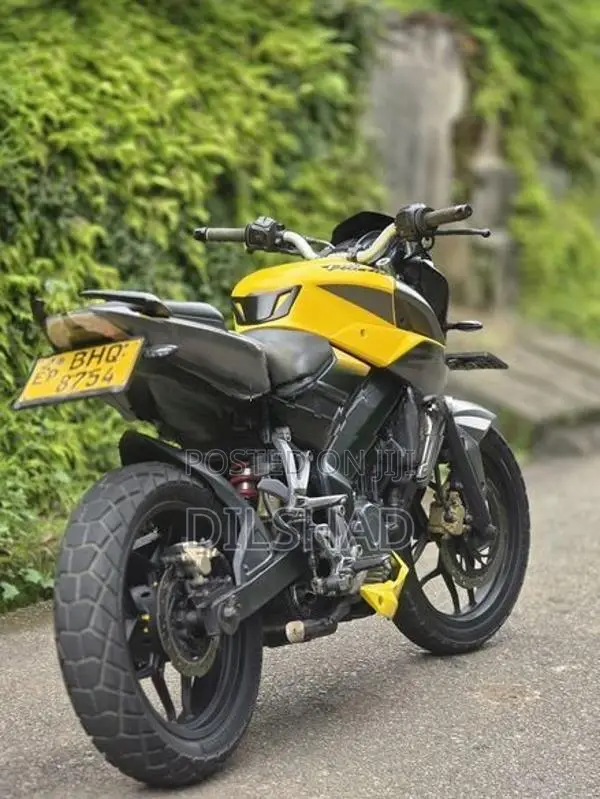 Bajaj Pulsar NS200 2019
