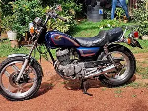 Honda CB250R LA Custom 1999