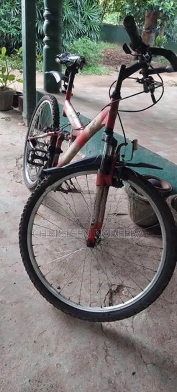 Bicycle