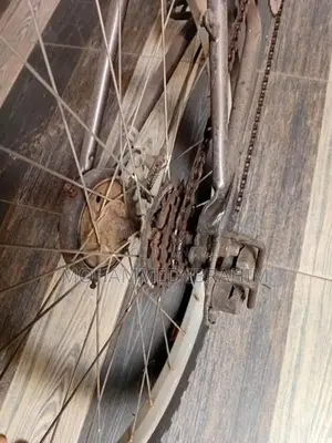 Japan Bicycle