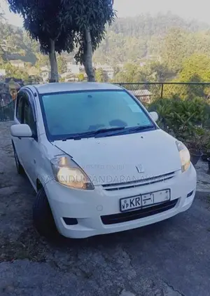 Toyota Passo 2009