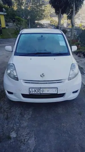 Toyota Passo 2009