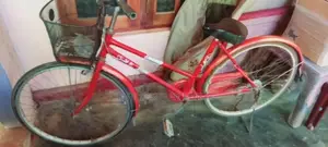 Japan Cycle