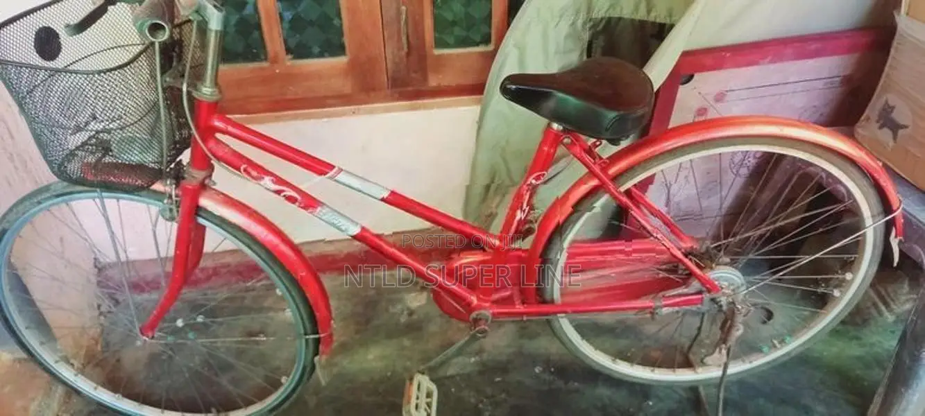 Japan Cycle