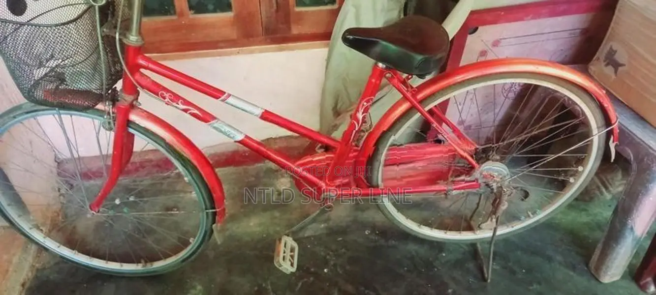 Japan Cycle