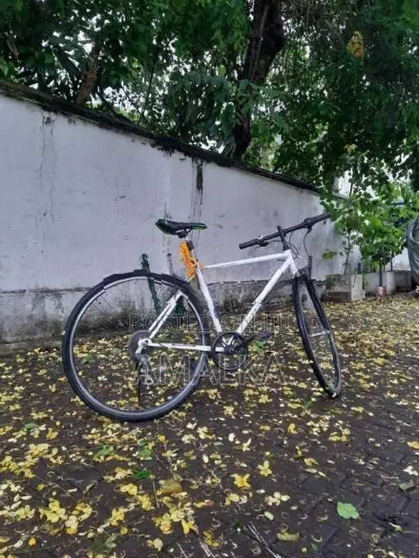 Japan Bicycle