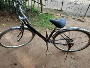 Japan Ladies Gear Bicycle