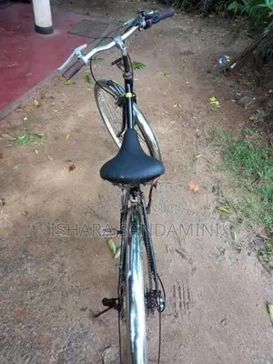 Japan Ladies Gear Bicycle