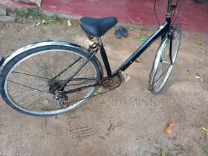 Japan Ladies Gear Bicycle