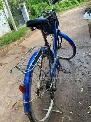 ජපන් පාපැදියක්