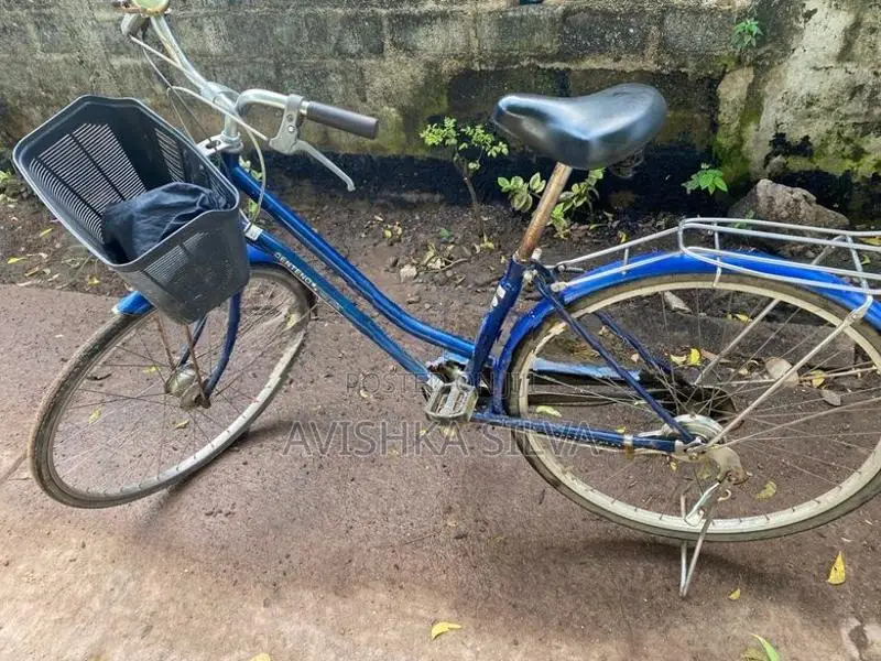 ජපන් පාපැදියක්