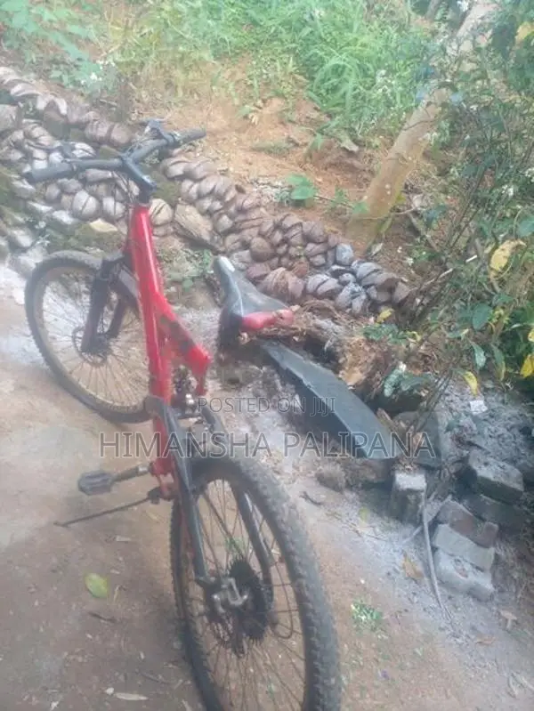 Bicycle