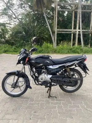 Bajaj Platina 100 2019