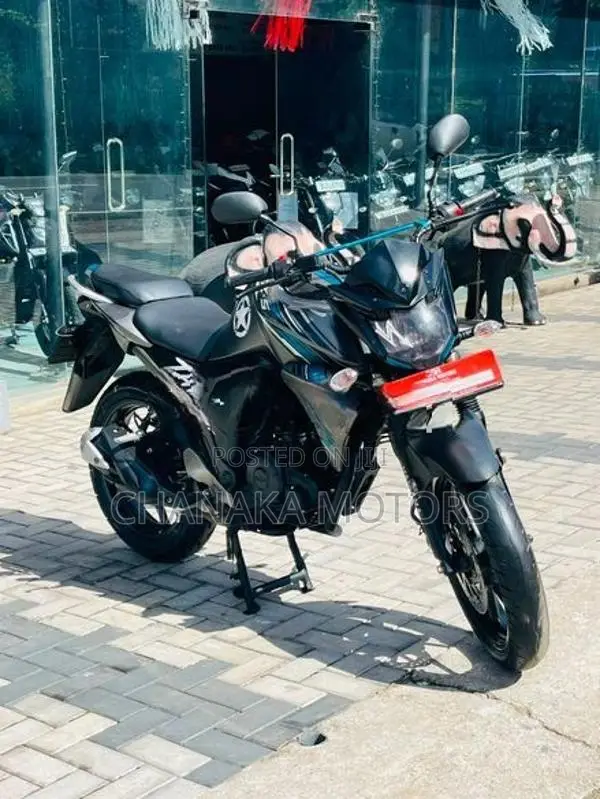 Yamaha FZ V2 Gray Mat 2018