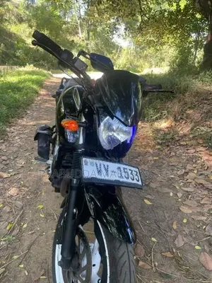 Yamaha FZS V1 2010