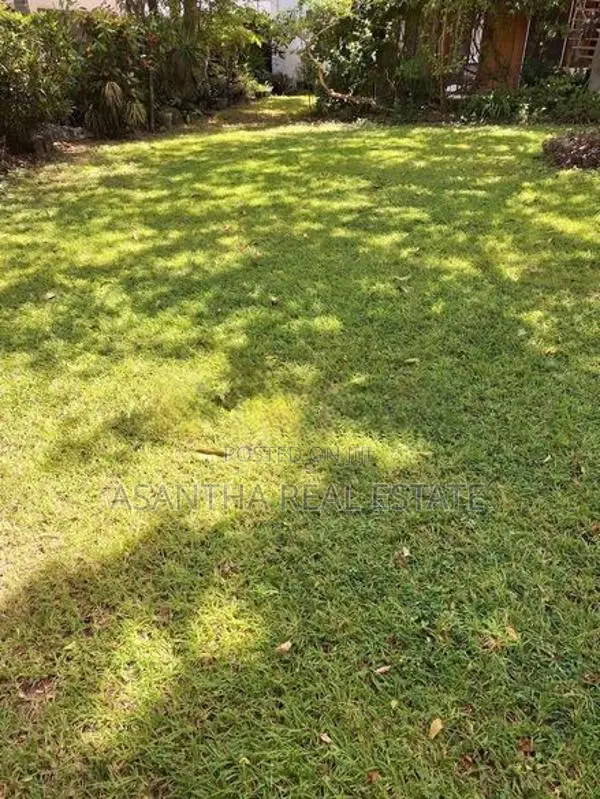 (NNI391) 10 P Land Sale At Facing Peterson Road Colombo 06
