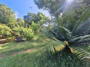 super Bare Land for sale nugegoda jubilipost