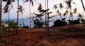 (AF328) 100 P Beach Facing Land Sale At Hiriketiya Dickwella