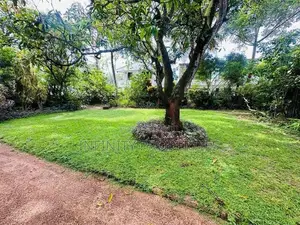 (AFA581) 10 P Land Sale At Facing Peterson Road Colombo 06