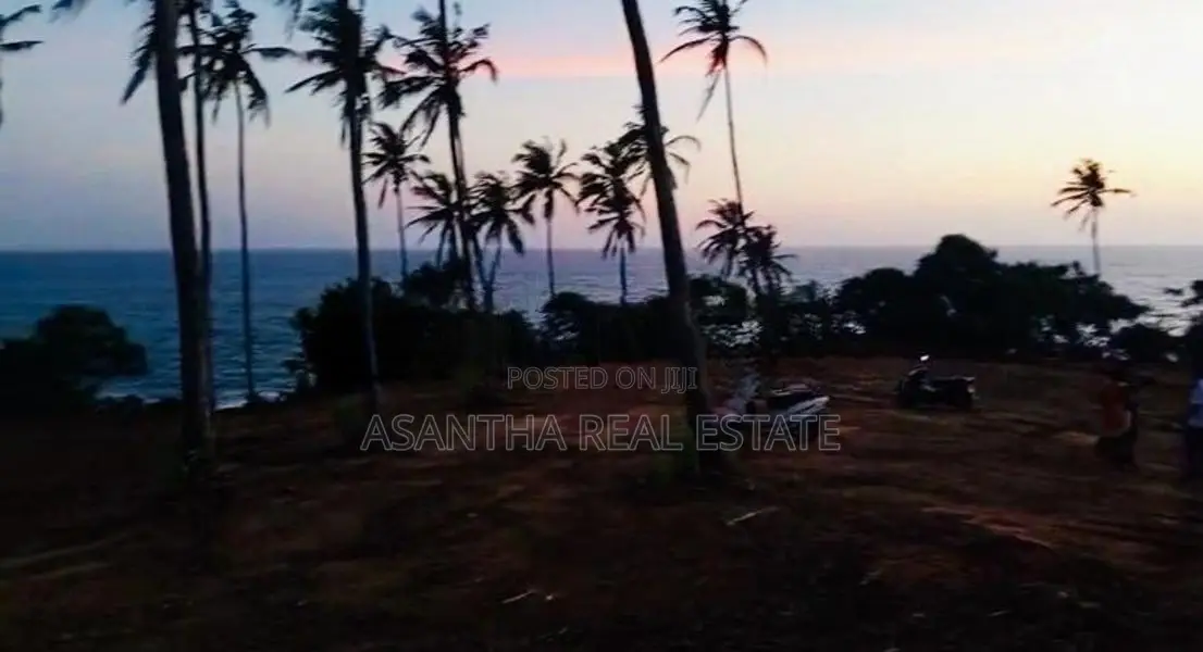 (AF328) 100 P Beach Facing Land Sale At Hiriketiya Dickwella