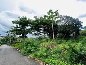 (NNI398) 30 P Bare Land for Sale –Robert Gunawardena Road Malabe