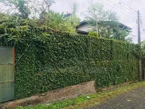 (AF348) 13 P with Single Story House Sale At Thalawathugoda
