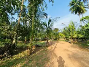 17.5P Superb Land Facing Paddyfield Close to Techno Universities Malab