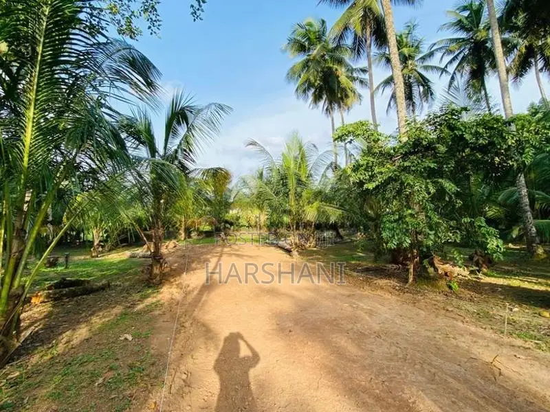17.5P Superb Land Facing Paddyfield Close to Techno Universities Malab