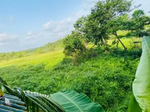 17.5P Superb Land Facing Paddyfield Close to Techno Universities Malab