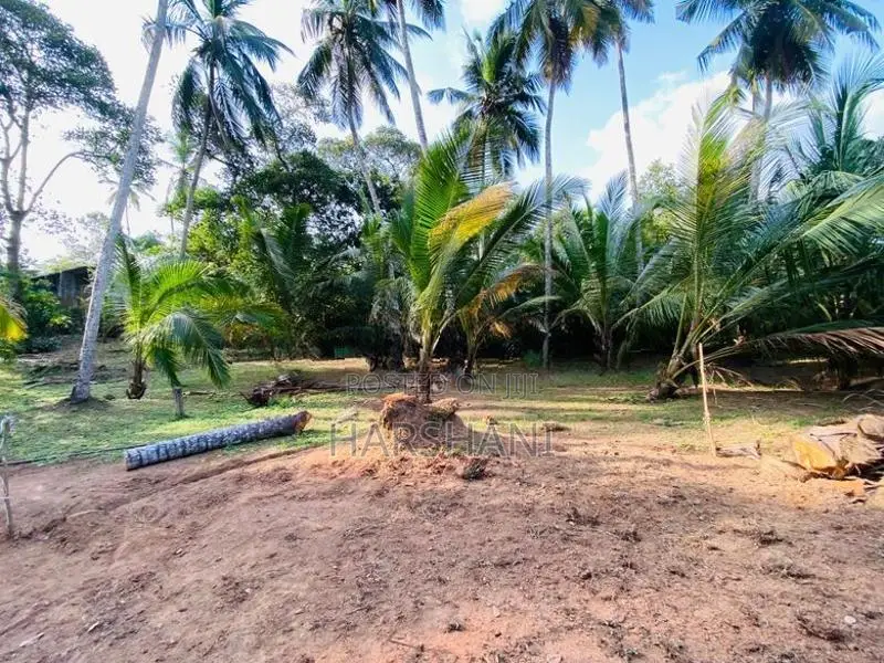 17P Land Facing Paddyfield Close to Major Techno Universities, Malabe