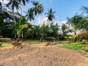 17.5P Superb Land Facing Paddyfield Close to Techno Universities Malab