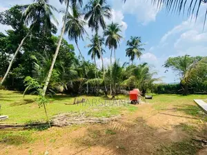 17P Land Facing Paddyfield Close to Major Techno Universities, Malabe