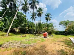 17P Land Facing Paddyfield Close to Major Techno Universities, Malabe