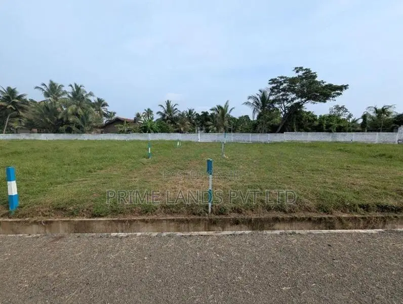 දඹුලු පාරට මුහුණලා බිම් කොටසක්
