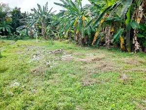 9.6 P ( 25.6 )Land sale At Santhanampitiya Road Ebuldeneya Nugegoda