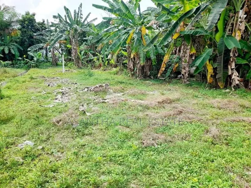 (AF369) 9.6 P Land for sale At Santhanampitiya Road Ebuldeneya Nugegod
