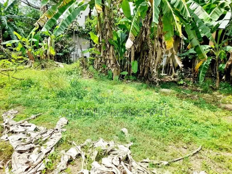 (AF369) 9.6 P Land for sale At Santhanampitiya Road Ebuldeneya Nugegod