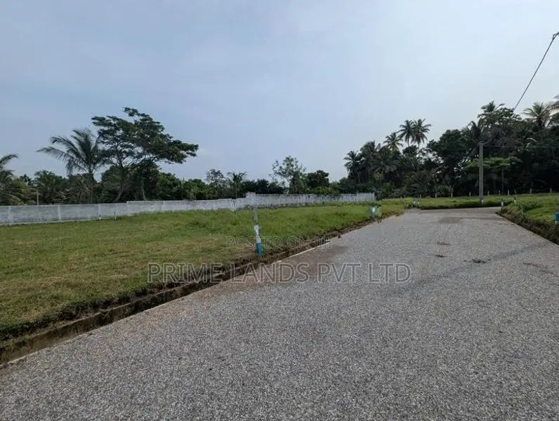 දඹුලු පාරට මුහුණලා ව්‍යාපාරික හා නේවාසික බිම් කොටස්
